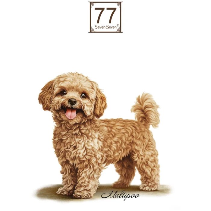 Maltipoo - bawełniana torba canvas