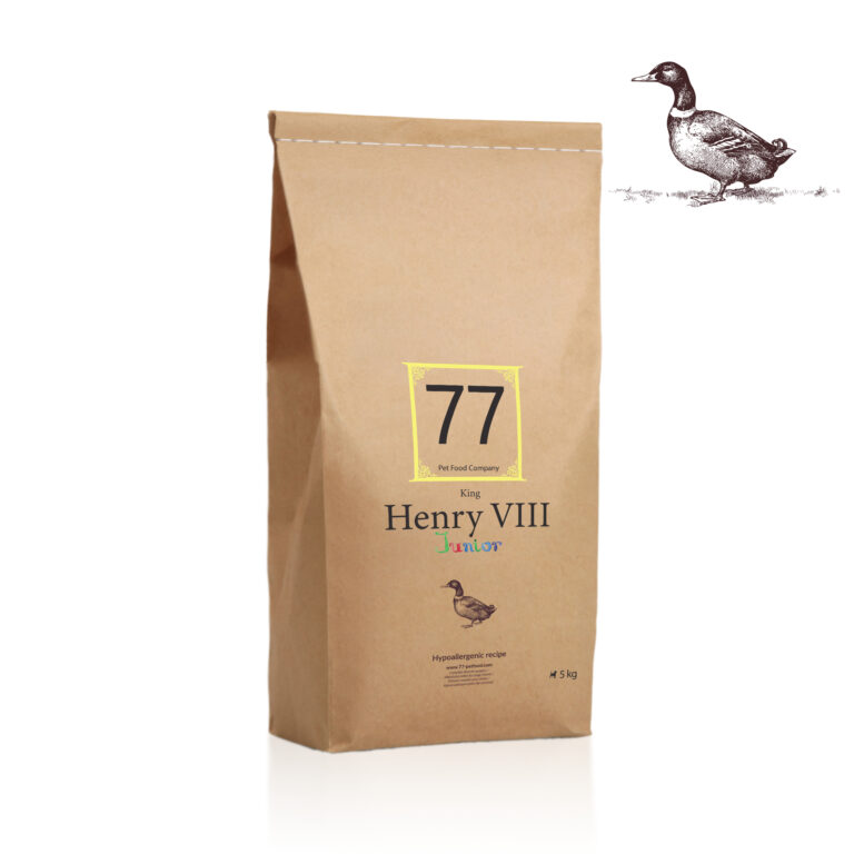 Junior Henry VIII z kaczką