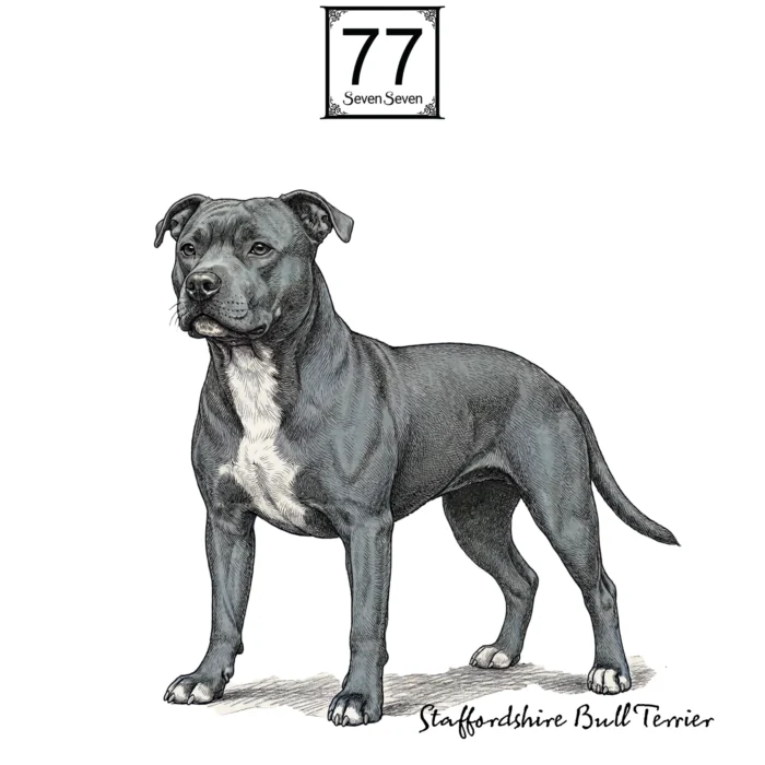 Staffordshire Bull Terrier - bawełniana torba canvas