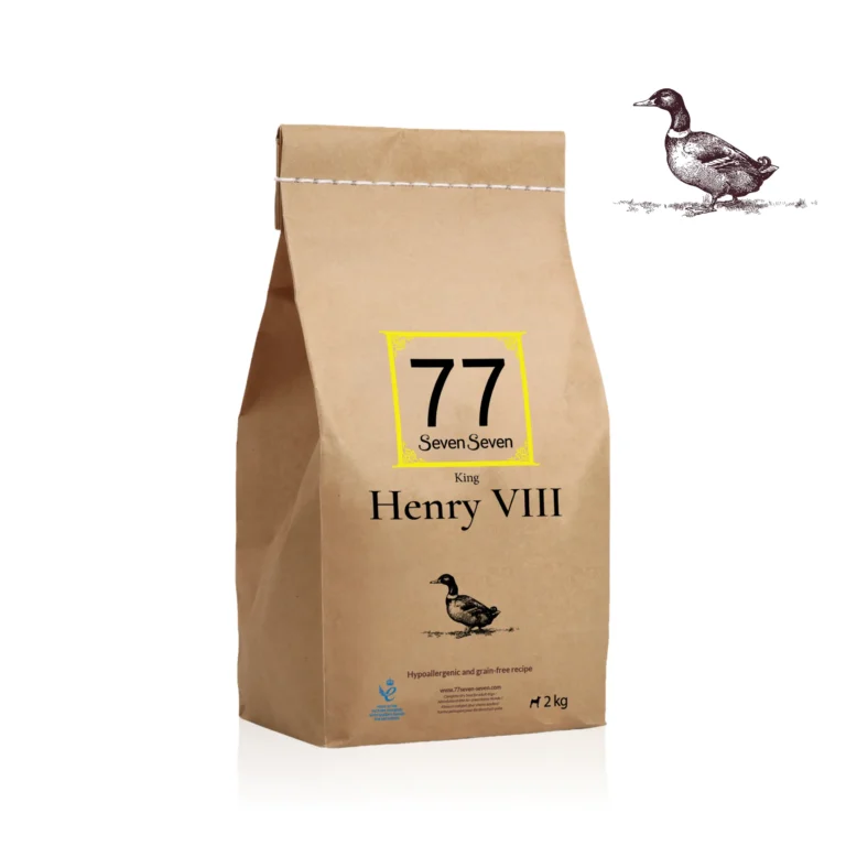 Henry VIII z kaczką