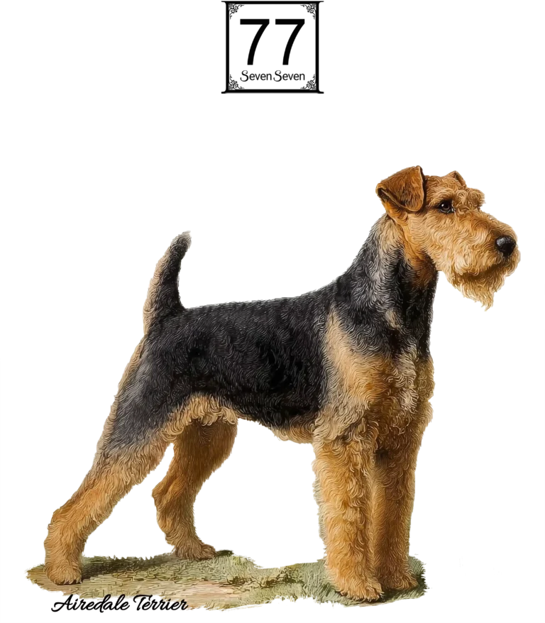 Airedale Terrier - bawełniana torba canvas
