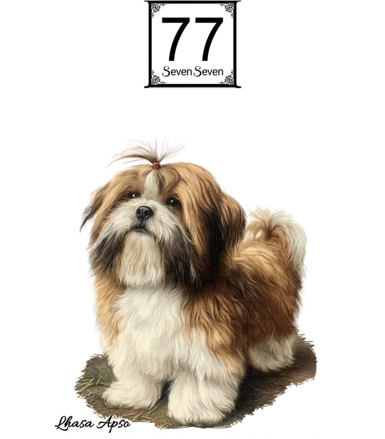 Lhasa Apso - bawełniana torba canvas