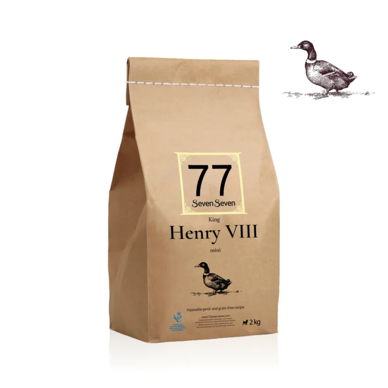 mini Henry VIII z kaczką
