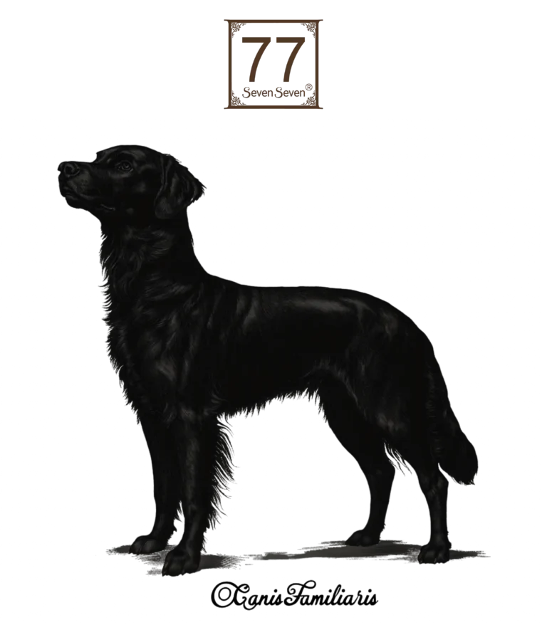 Personalizowana rasa - bawełniana torba canvas