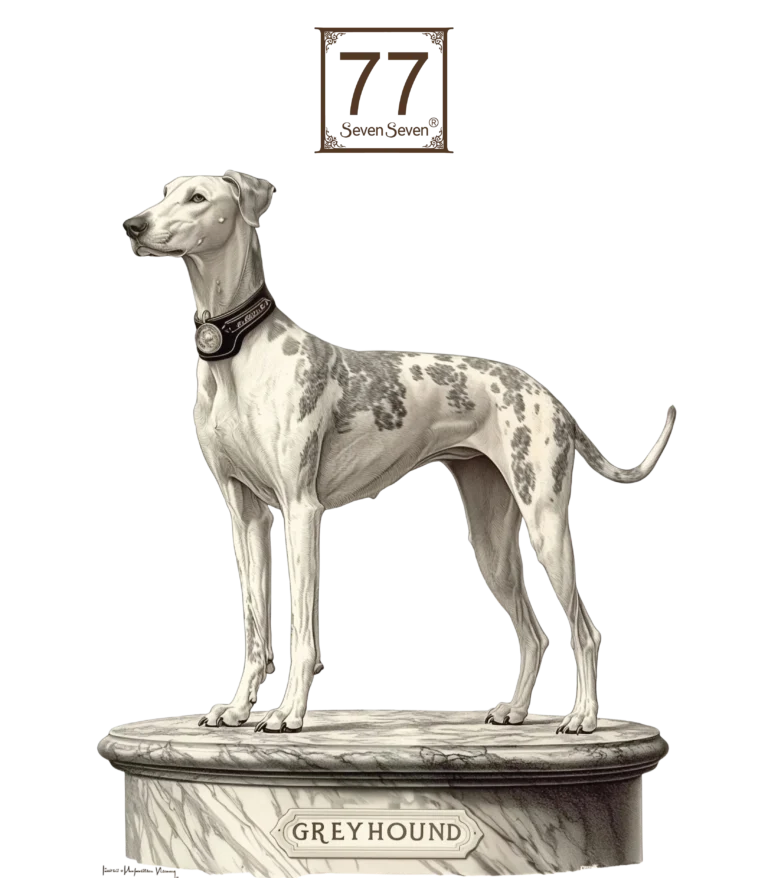 Greyhound - bawełniana torba canvas