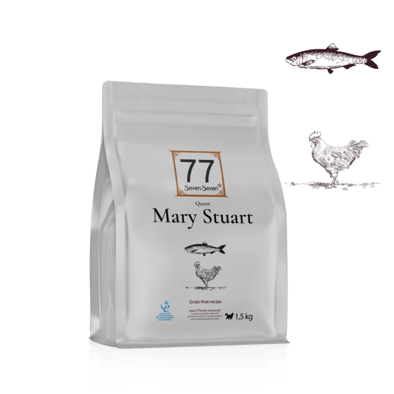Mary Stuart z kurczakiem dla kota