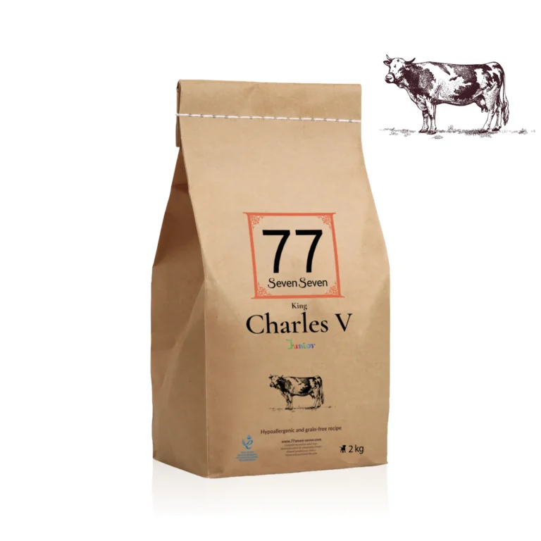 Junior Charles V z wołowiną Angus