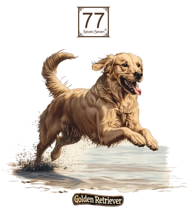 Golden Retriever - bawełniana torba canvas