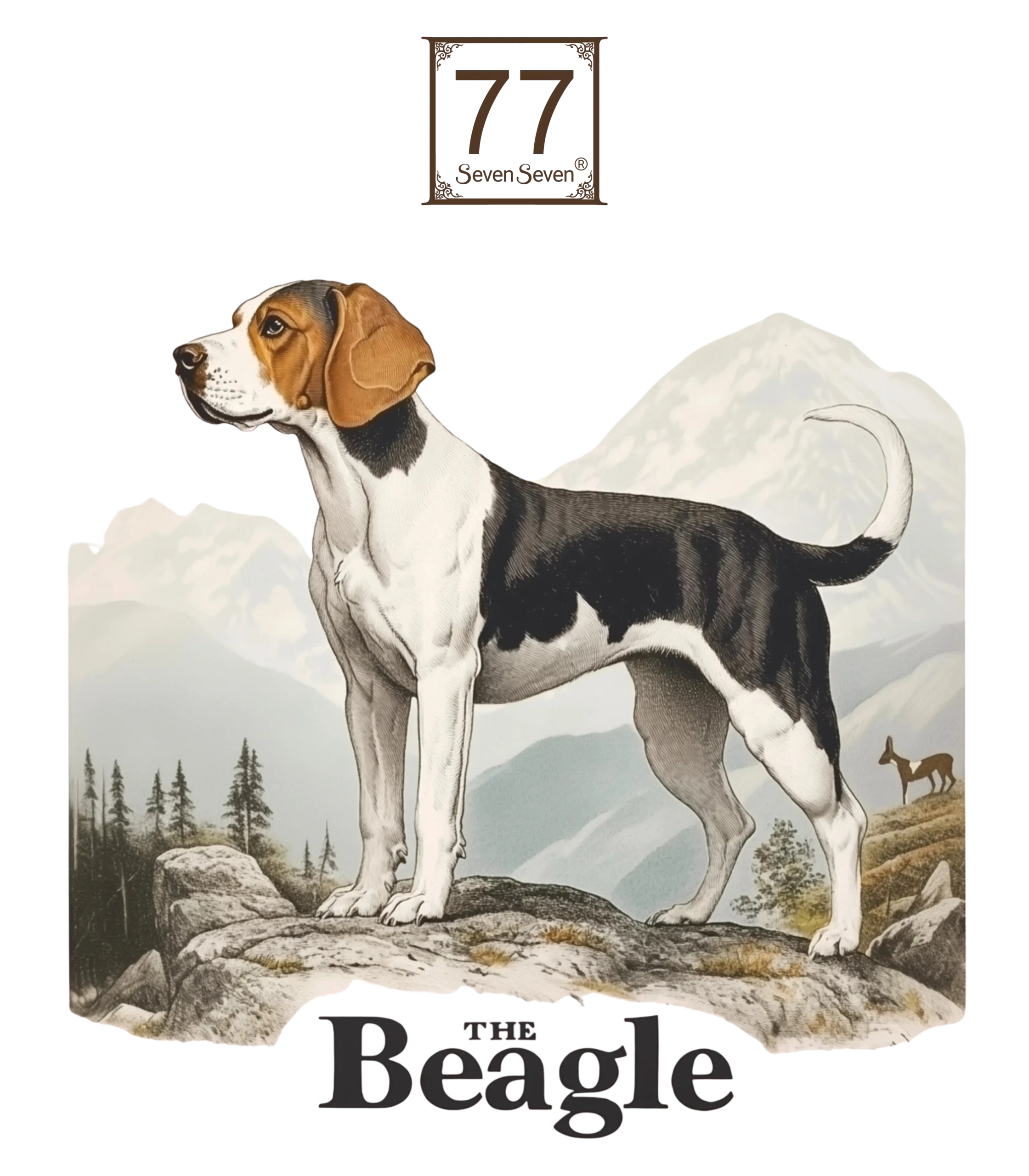Beagle - bawełniana torba canvas - obrazek 2