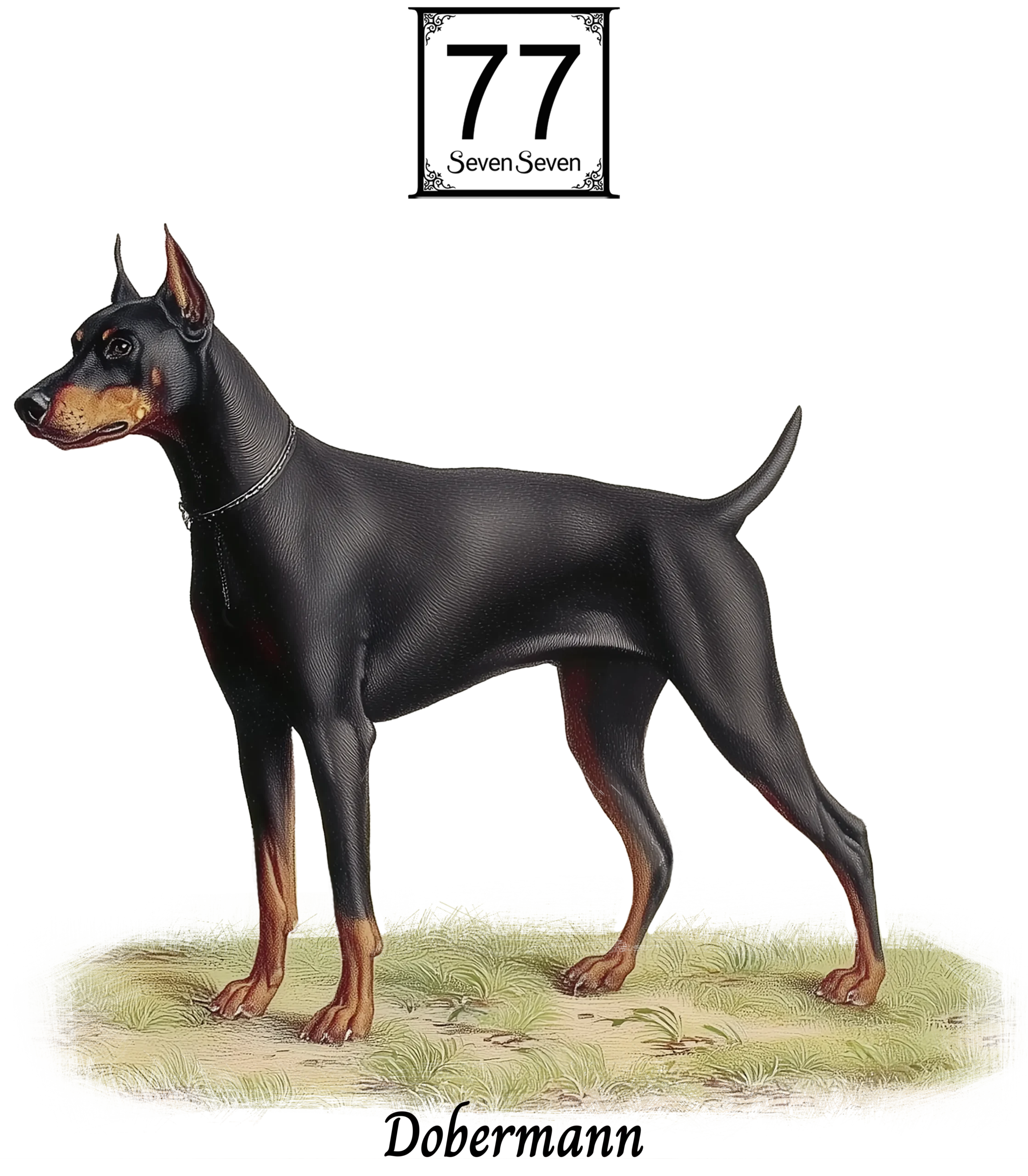 Doberman - bawełniana torba canvas - obrazek 2