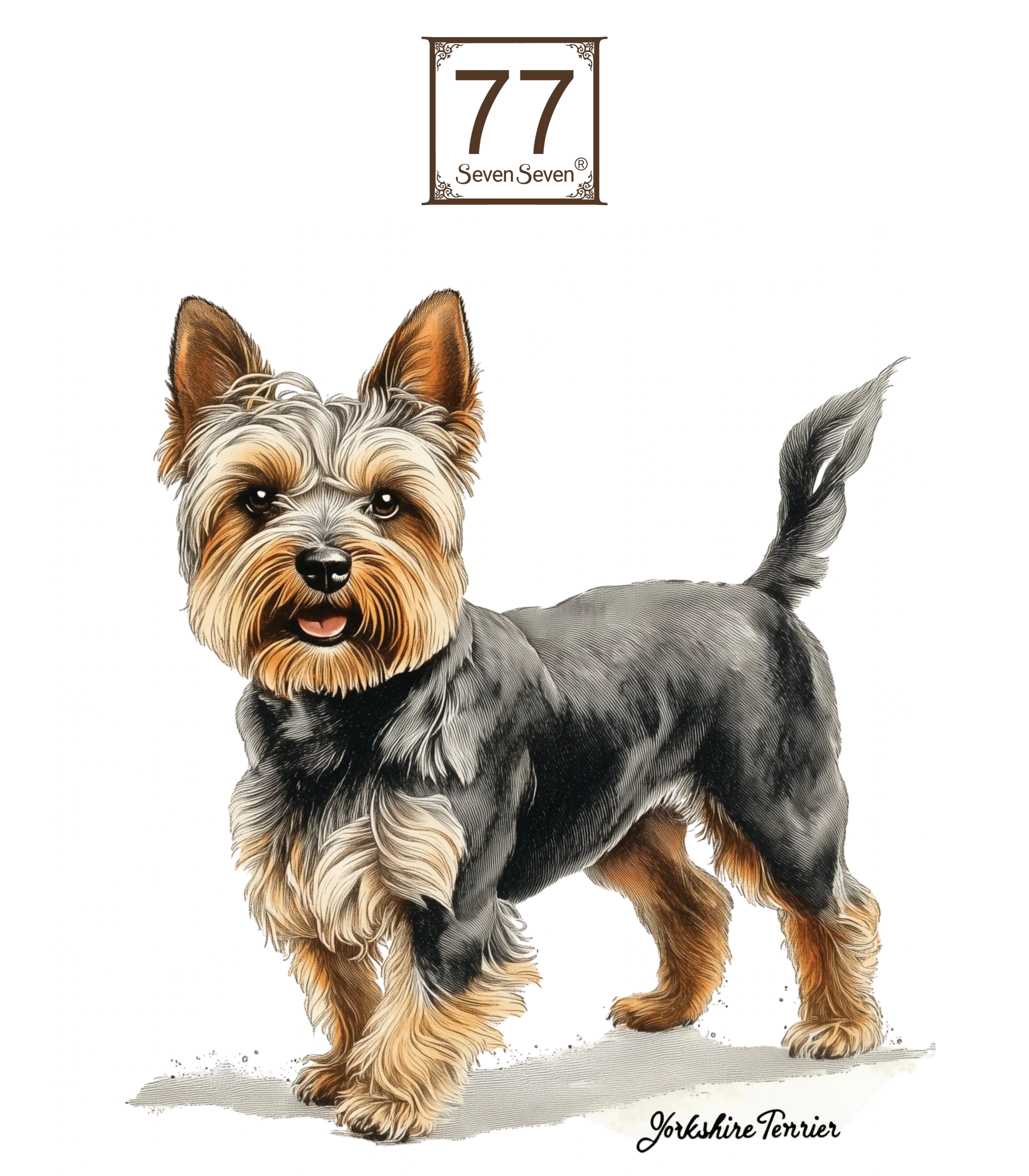 Yorkshire Terrier - bawełniana torba canvas - obrazek 3