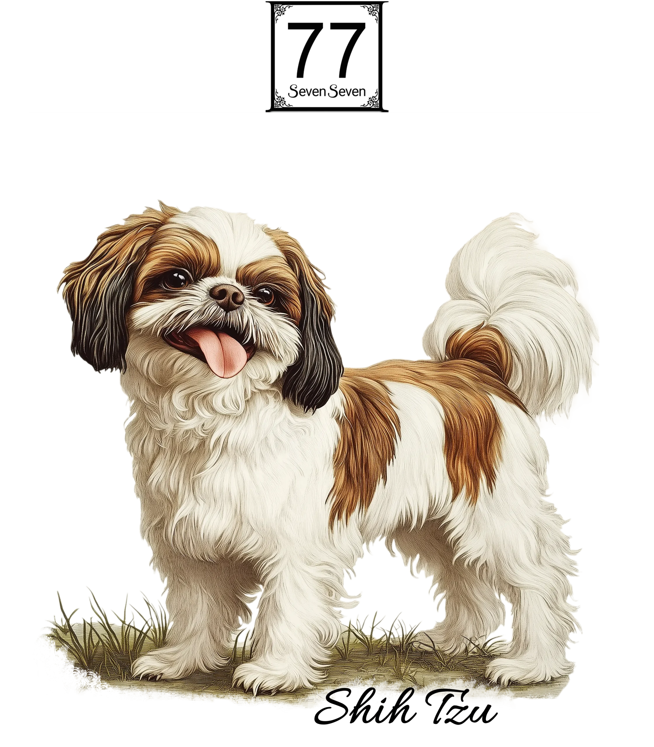 Shih Tzu - bawełniana torba canvas