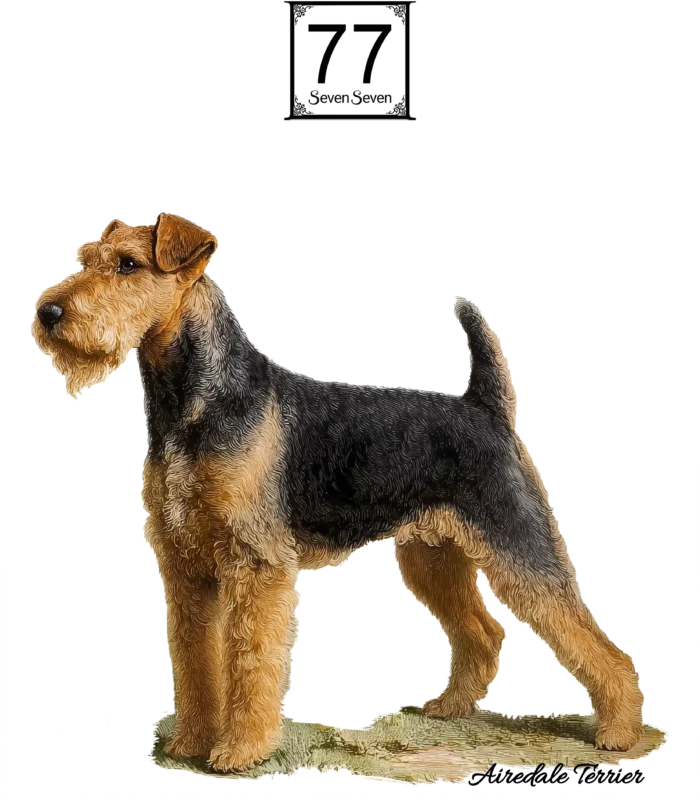 Airedale Terrier - bawełniana torba canvas