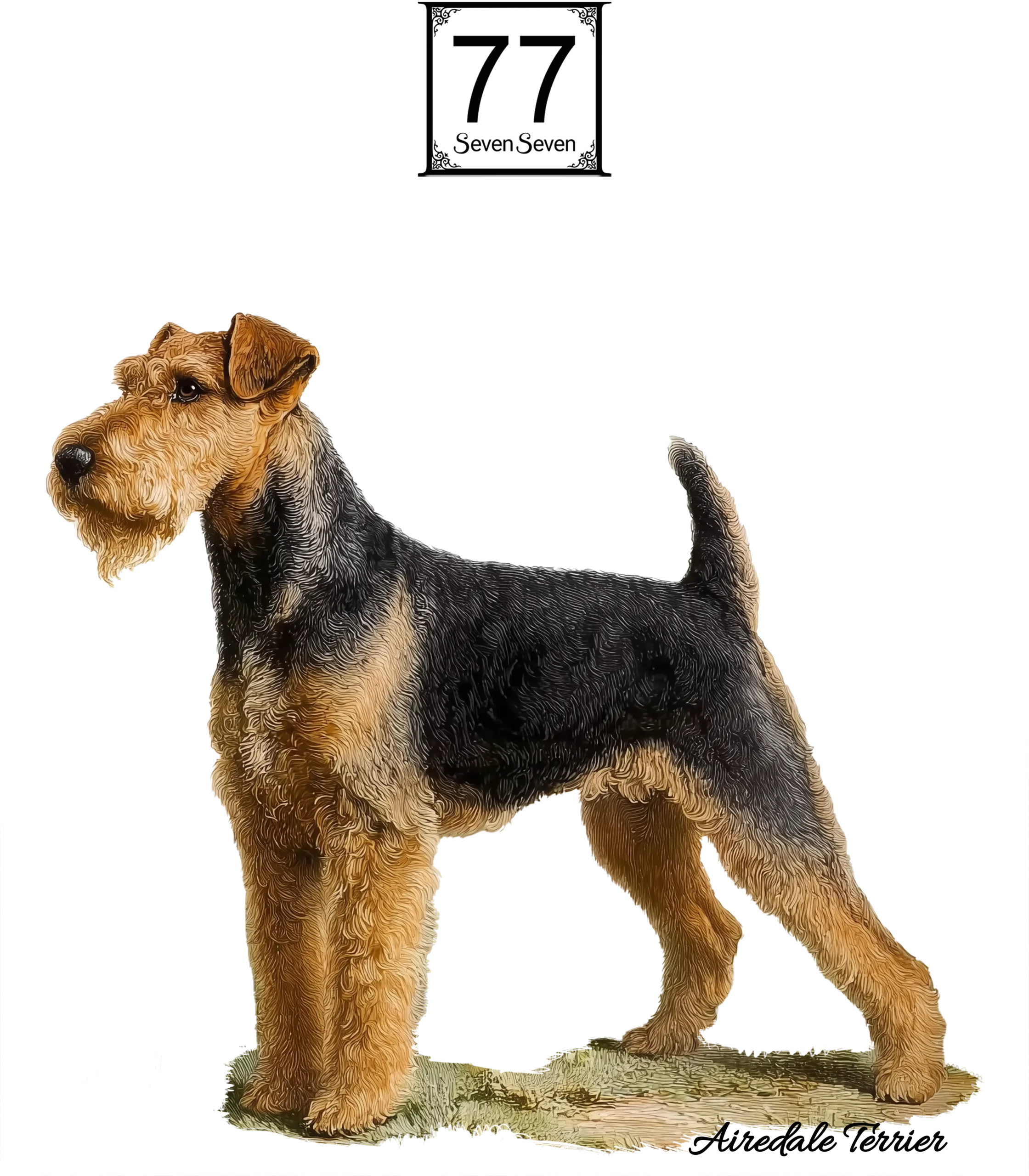 Airedale Terrier - bawełniana torba canvas
