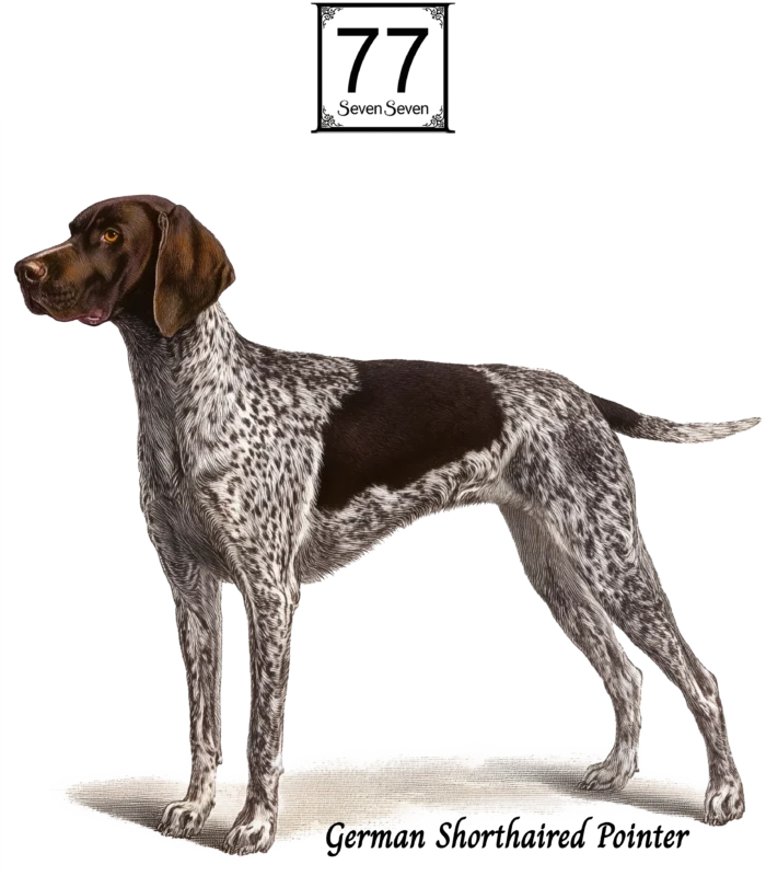 Wyżeł Niemiecki (German Shorthaired Pointer) - bawełniana torba canvas