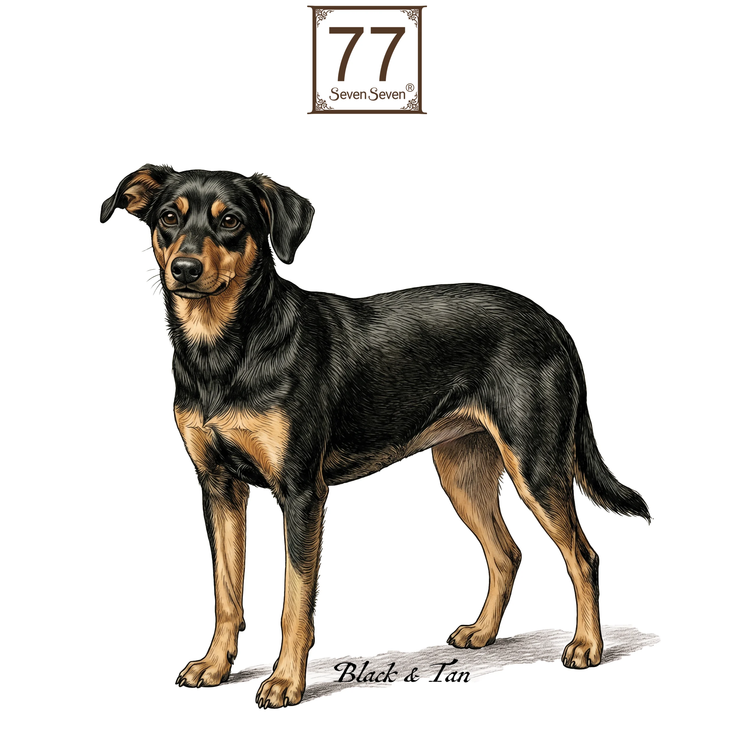 Wielorasowiec (Crossbreed) - bawełniana torba canvas