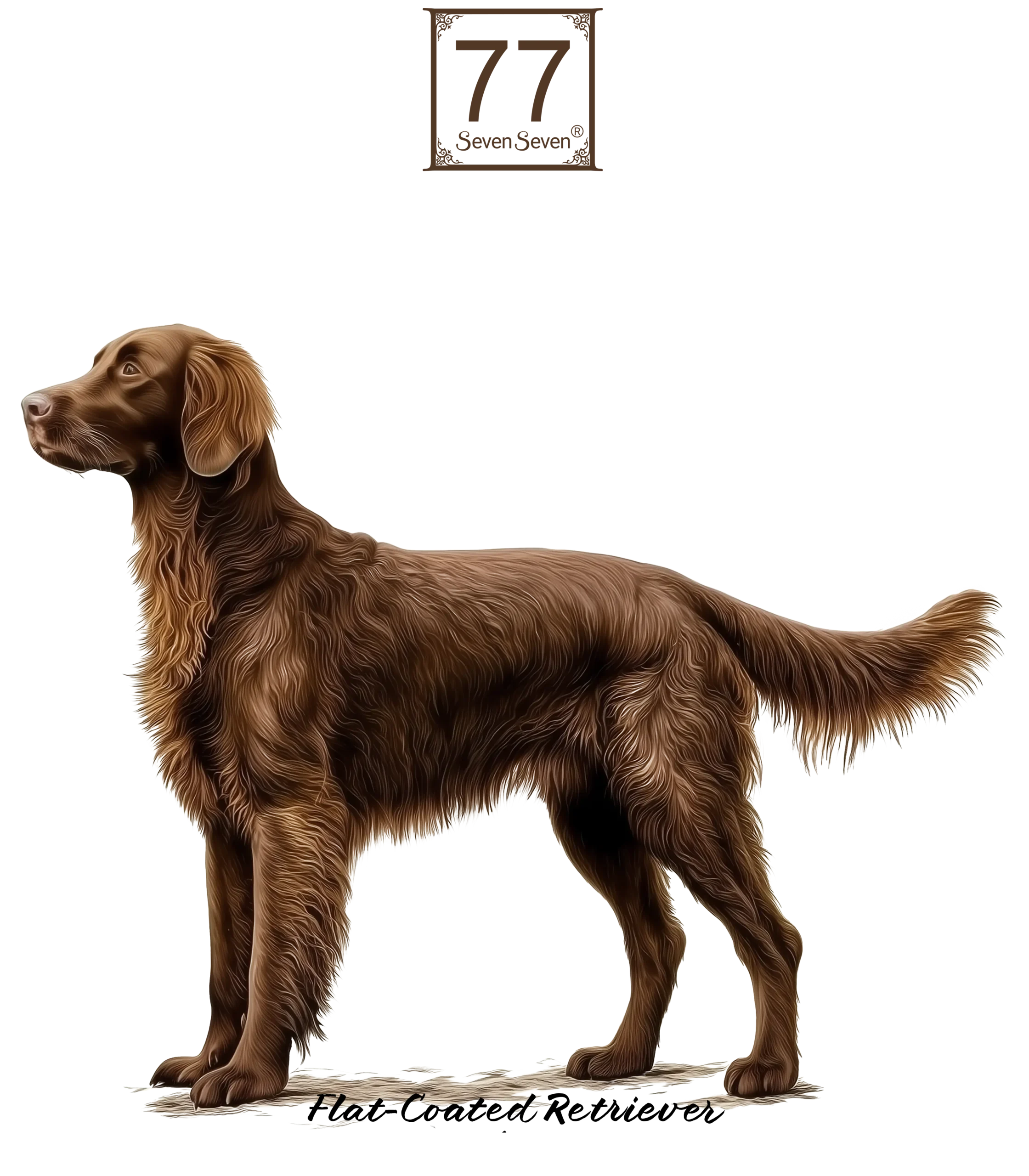 Retriever gładkowłosy (Flat-Coated Retriever) - bawełniana torba canvas